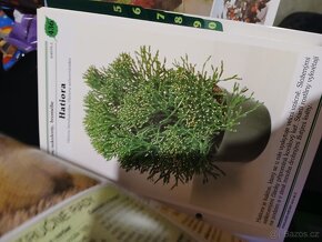 Pokojové květiny od A do Z - 3