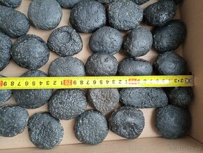 Tektity Vietnam Obří kolekce 7,85kg - 3