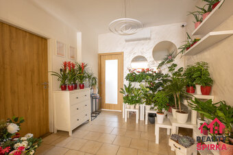 Pronájem obchodu - komerčních prostor, 58 m², Brněnská, Mora - 3