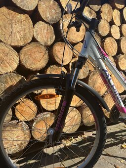 ALPINA Eco 10 lm “26” S - 3