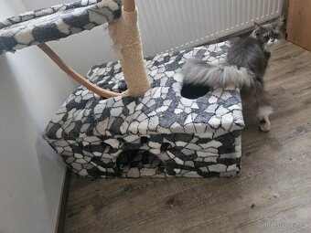 Kočičí strom, škrabadlo pro kočky - 3