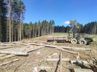 Vyvazeci vlek za traktor - 3