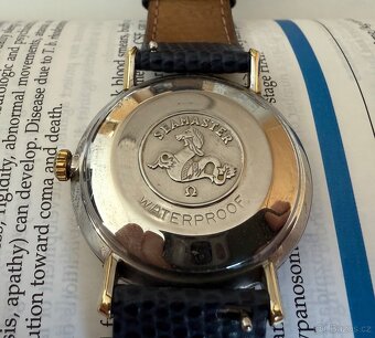 Omega Seamaster - 3