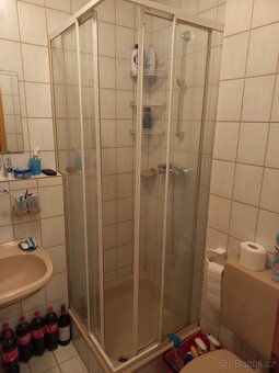 apartmán ve městě Zwiesel - 3