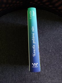 Kouzlo polární záře - Cornelia Engel - 3