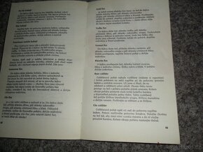víno-medicína, desatero barmana, různé kuchyně, recepty - 3