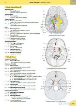 MEMORIX ANATOMIE  (5. vyd., PDF) - 3