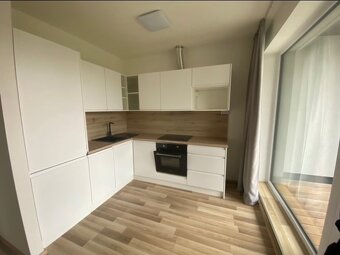 Pronájem 1+kk,42m2 - 3
