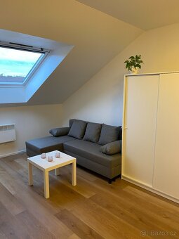 Pronájem bytu 1+1 36 m² - 3
