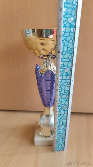 Sportovní pohár pro vítěze - 3