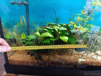 akvarium komplet - 3