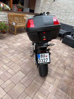 Honda Hornet cb 600 f - 3