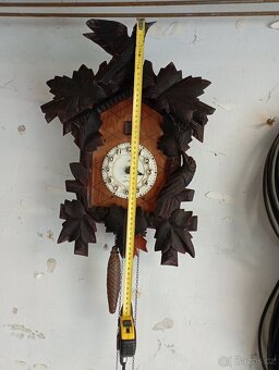 Staré velké kukačky - 3
