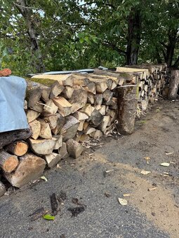 Palivové dřevo - 3