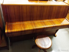 August Forster mod.105- Dovoz po ČR zdarma 24/7 - 3