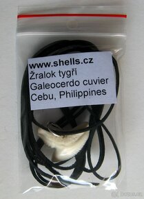 Žralok tygří - přívěsek - 3