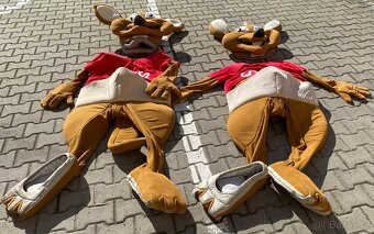 Maskot/kostým Ríša - 3