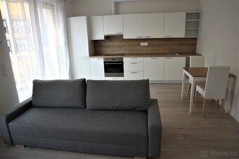 Pronájem 1+kk,od 1.06.2025 - 3