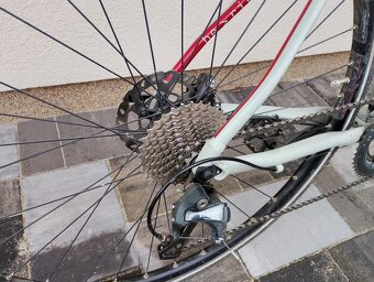 Pells BRB Elite 2020 - 3