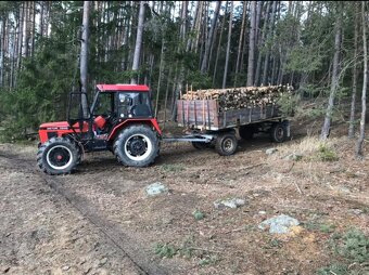 Palivové dřevo - 3