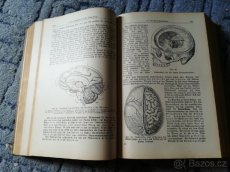 Neuer Hausschatz der Heilkunde-Nový poklad medicíny - 3