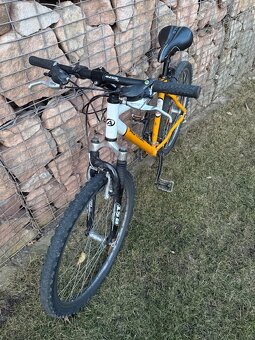 Horské kolo Author - 3