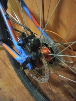 Kellys spider 30 - 3