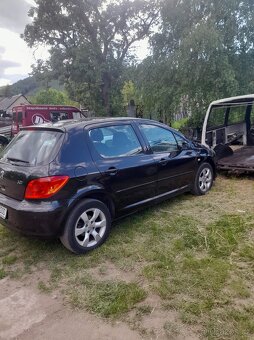 Peugeot 307 - 3