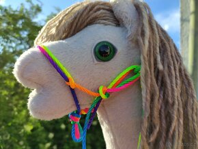Hobby horse - 3