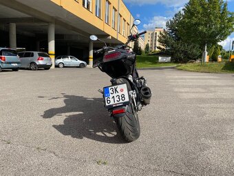 Benelli Leoncino 500 ABS 2023 - 3