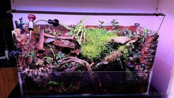 Paludarium, akvarium pro krevetky a kraby Geosesarma apod - 3