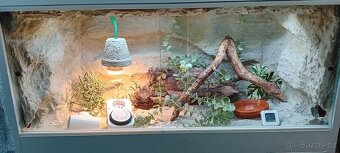 Terárium - 3