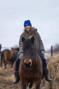 Huculská klisna, hucul, pony, malý kůň, tobiano - 3