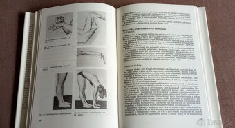 Klinická revmatologie - 3
