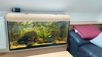 Akvarium 200l - 3