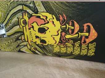 Skateboard Globe - 3