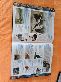 Zvíře obrazová encyklopedie živočichů celého světa - 3