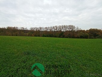 Prodej, pozemky pro bydlení, 10102 m2 - Všesulov - 3