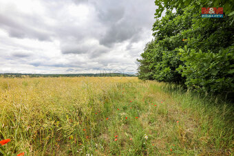 Prodej pole, 11929 m², Chrást - 3