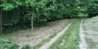Prodám zahradu 2216 m2, možnost stavby, Kudlovice-dolina - 3