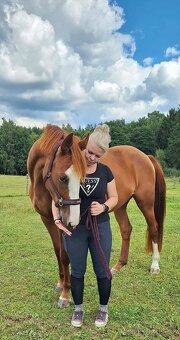 4-letá odznaková ryzka - 3