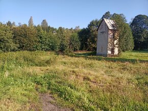 Údržba zahrad, lesů, domů i bytů - hodinový manžel - 3