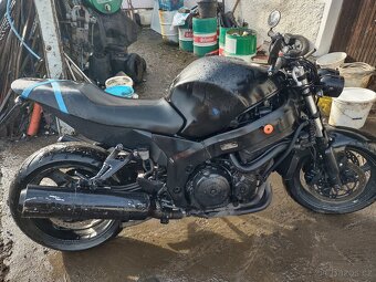 CBR 1100 xx superblacbird - 3