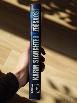 Zběsilost - Karin Slaughter - 3