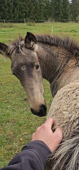 TOP klisnička PSL - 3