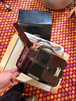 Akordeón BELLONA - 3