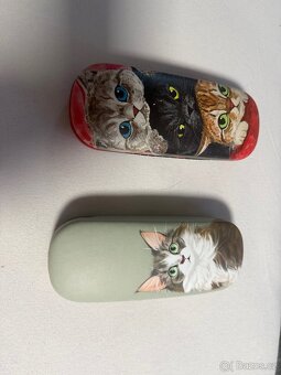 Pouzdro na brýle - 3