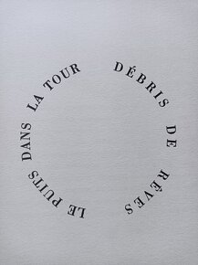 Toyen/Radovan Ivšić/Le Puits Dans La Tour/Débris De Reves - 3