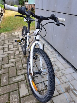 Detske kolo Author Cosmic 20 - 3