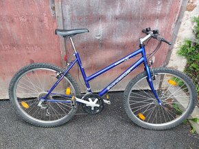 Dívčí horské kolo - 3